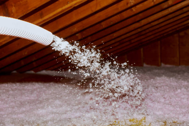 Best Cellulose Insulation in Carroll Valley, PA
